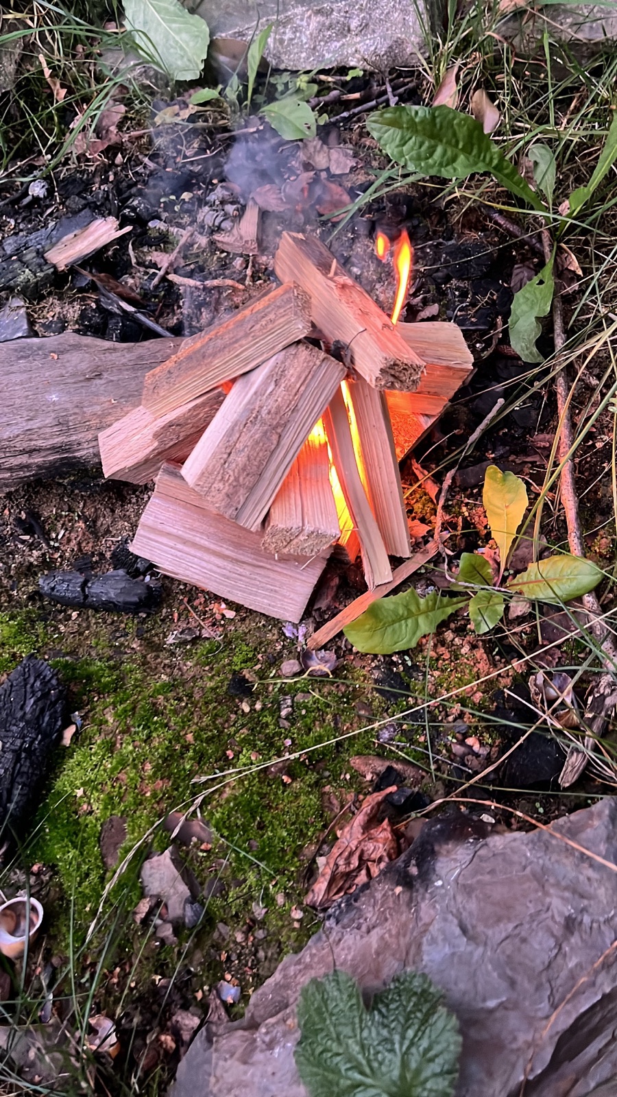 A small fire of split kindling just catching light in a forest clearing, surrounded by moss, grass, charred wood and leaves.