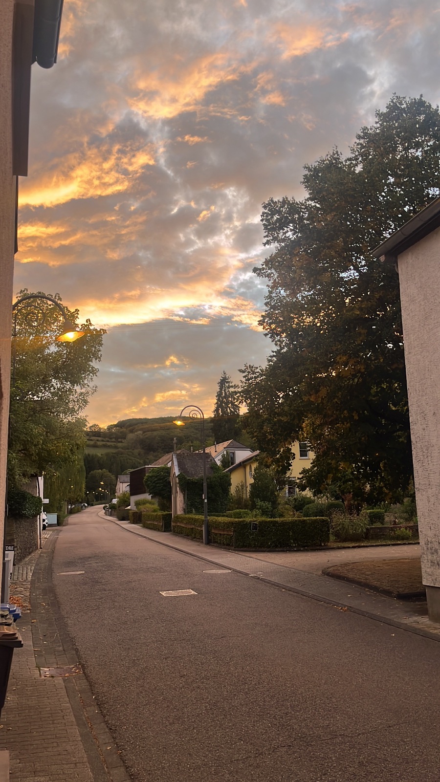 A village street at dusk, an orange and grey sky above, a lit street lamp, houses and a large tree.
