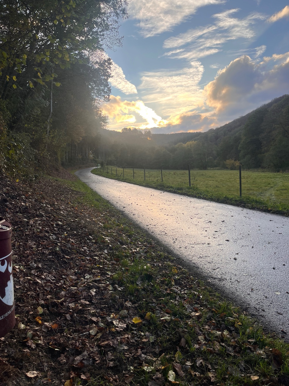 A narrow country road, wet and shining with low golden sunlight, curving away to the left around a wooded hillside at dusk, with a fenced meadow to the right, fallen leaves along the verge and a bright gap of cloud lit orange above the trees.